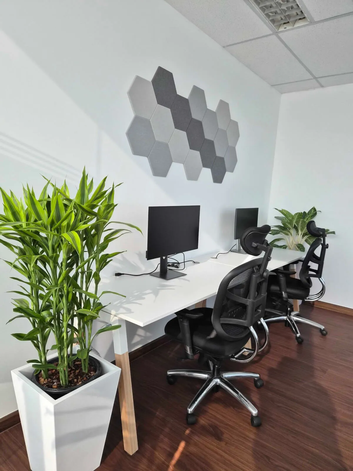 How We Manage Office Projects